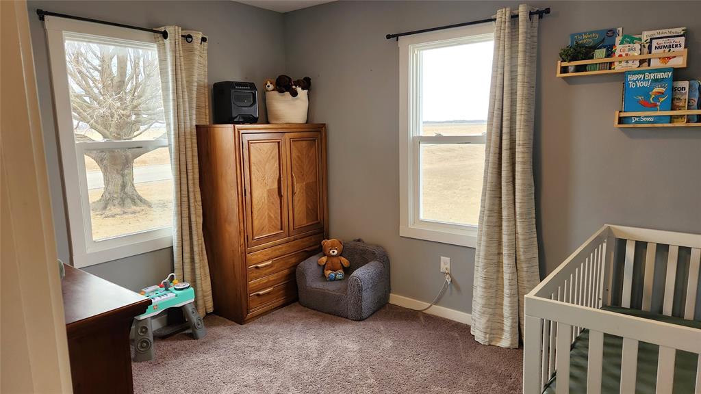 Interior-8 A cozy nursery with a crib, a wooden wardrobe, and a soft chair with a teddy bear. Books are displayed on wall shelves. Two windows with light curtains reveal a view of a leafless tree and an open field. Brown carpet covers the floor.