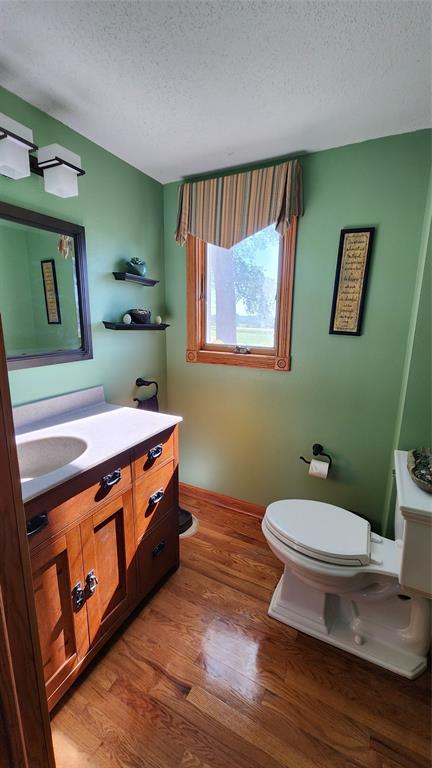 14434 US-65 Acreage 16 A small bathroom with green walls, wood flooring, a wooden vanity with a sink and mirror, a toilet, wall shelves with decor, a window with a striped valance, and framed art on the wall. Sunlight shines through the window.