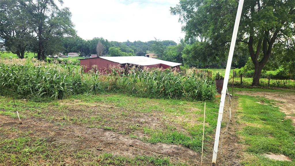 202 E Main St 17 A grassy yard with a patch of tall corn plants in the center, bordered by trees and a wire fence, with a red barn-like building in the background under a partly cloudy sky.
