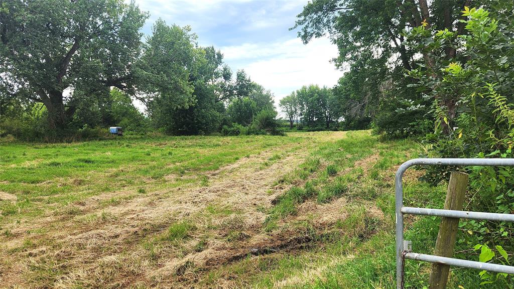202 E Main St 26 A grassy field with some areas of mowed grass, bordered by tall green trees under a partly cloudy sky. A metal gate is visible on the right side, and a small blue object is in the distance on the left.