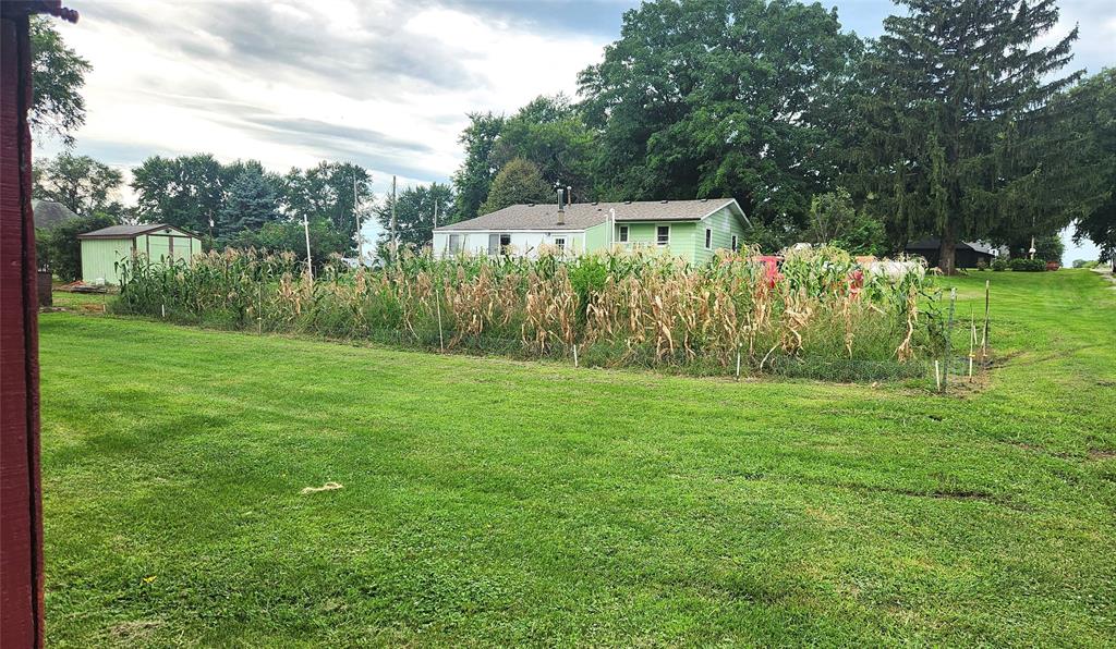 202 E Main St 29 A garden with tall corn plants sits in front of a light green house surrounded by trees and a grassy yard under a cloudy sky.
