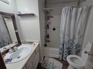 Small bathroom with a sink, mirror, and cabinet on the left, a toilet on the right, and a bathtub with a shower and leaf-patterned curtain in the back. A bathmat and various toiletries are visible.