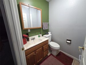 Small bathroom with a wooden vanity and sink, mirror cabinet above, toilet with a towel hanging on the wall, red rugs on the floor, and green and light gray painted walls. Soap and a hair dryer are on the sink.