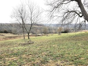A grassy field with scattered patches of bare earth and leafless trees, set against a backdrop of rolling hills under an overcast sky in late autumn or early winter.