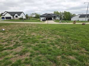 A suburban neighborhood with several houses, a driveway with an open garage, and a lawn with patchy grass in the foreground under a cloudy sky.